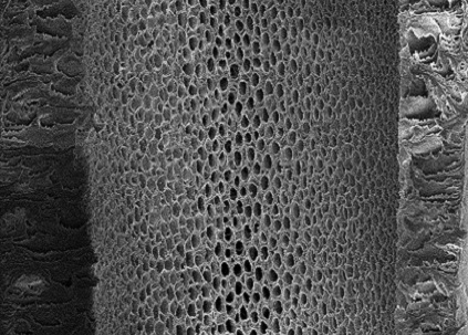 Membranes for the Industrial-scale Separation of Chemical Mixtures