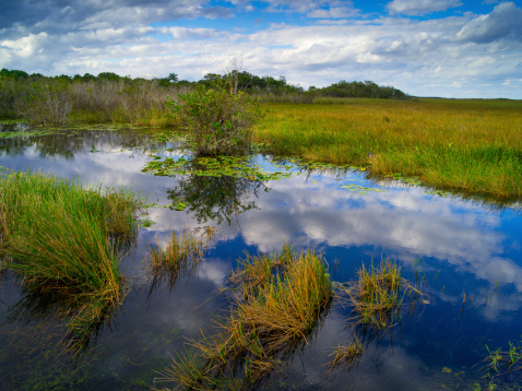 Mobile site gives info on water policies, research