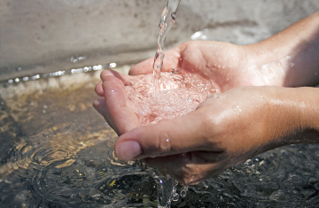 California Conditionally Approves Nitrate Removal Technology from Microvi Biotechnologies