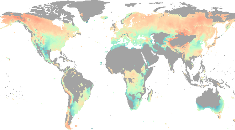 Water, Not Temperature, Limits Global Forest Growth as Climate Warms