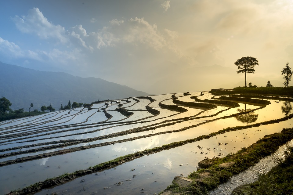 Here&#39;s an&nbsp;informative article on Hani rice terraces in Yunnan province of China, the natural and cultural wonder that was introduced in...