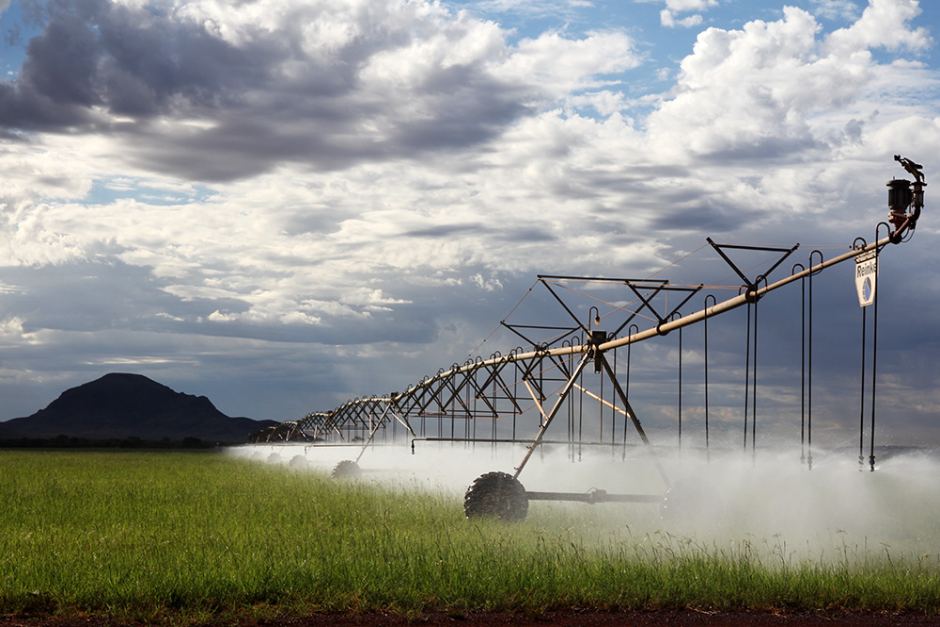 Mine Site Irrigation to Sow Crops in Pilbara