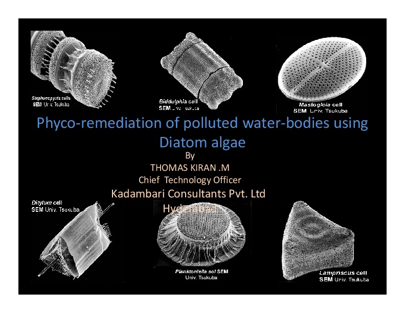 Nualgi and Diatoms