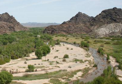 Floods are Necessary for Maintaining Healthy River Ecosystems