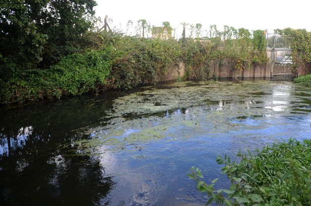 Thames Water Fined for Surrey River Pollution