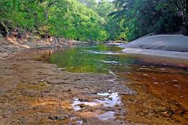 Restoration Improves Mississippi's Aquatic Community 