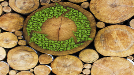 Turning Seawater into Drinking Water by Using Biomass Energy