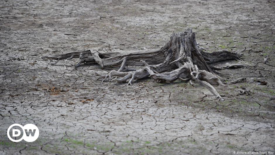 Is Germany facing a water shortage crisis? | DW | 27.01.2021