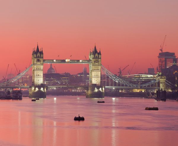 How The Thames, Once a &#039;Zombie River,&#039; Was Brought Back to Life