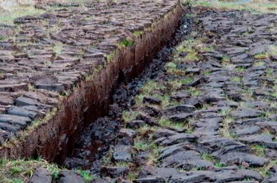 Nutrient Management of Peat Soils