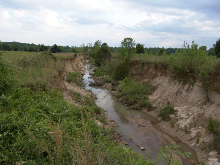 Agricultural Insecticide Contamination Threatens U.S. Surface Water Integrity