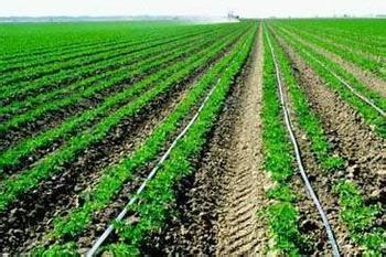 Futuristic Irrigation