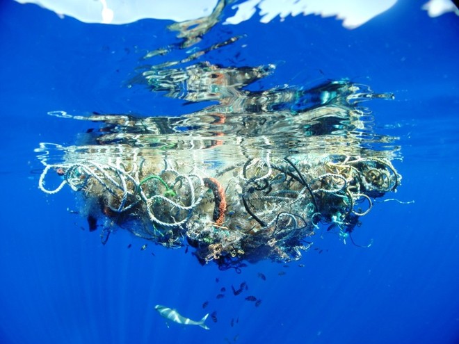 Levels of Plastics in Oceans Increases