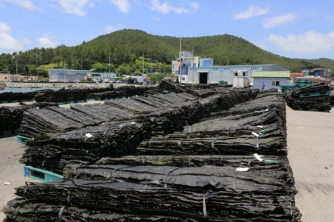 KIST Biochar Uses Recycled Kelp to Remove Toxic Heavy Metals from Water