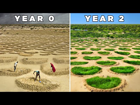 When the Great Green Wall initiative began in 2007, it was just a vision of a big, beautiful wall of greenery spanning the width of Africa to ke...