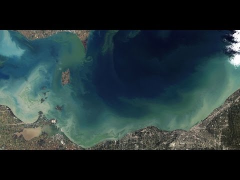 Monitoring Harmful Algal Blooms with GIS and Remote Sensing (VIDEO)