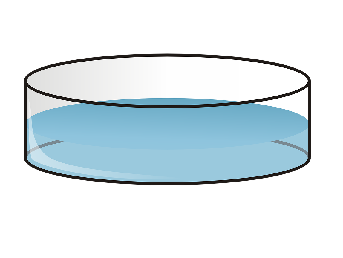 A New Material Capable of the Adsorption of Organic Pollutants in Water