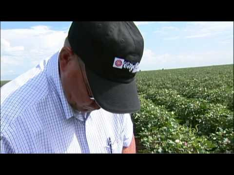 A Race Against Time - The Ogallala Aquifer of the Texas High Plains