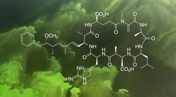 Cyanotoxins Treatment Strategies for Water Utilities