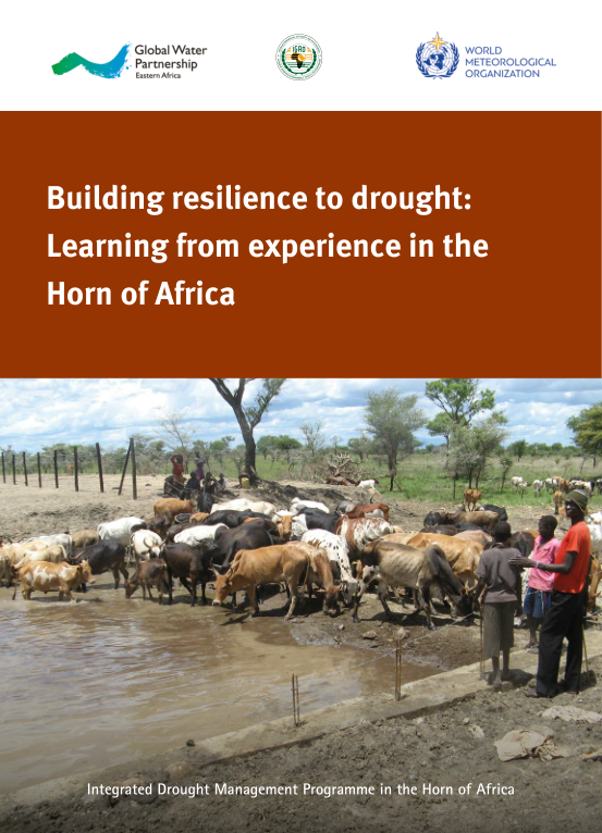 Building Resilience to Drought: Learning from Experience in the Horn of Africa