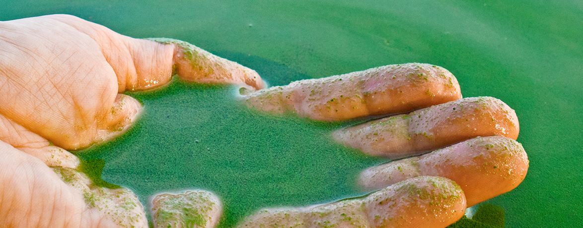 On the Frontlines of a Global Battle Against Harmful Algae Blooms