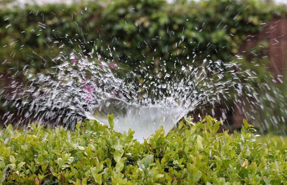 Irrigating Vegetables with Wastewater in African Cities May Spread Disease