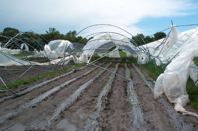 Kentucky Professor Works to Improve Irrigation