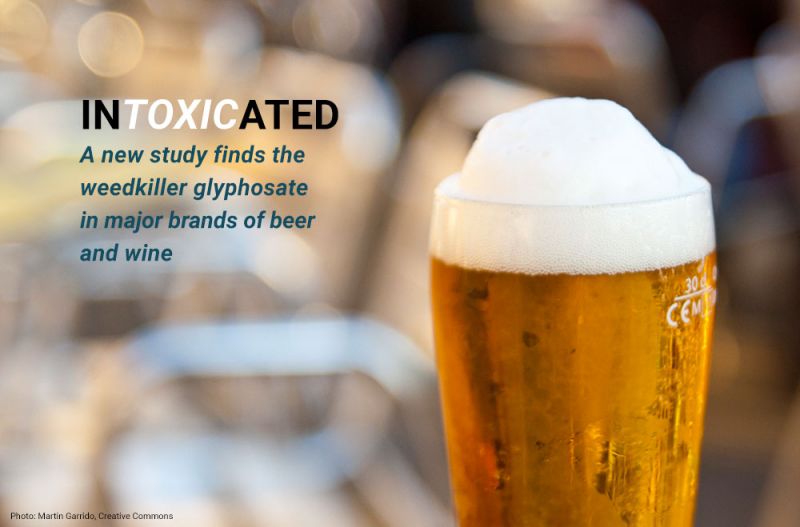 In-toxic-ated: A New Study Finds the Weedkiller Glyphosate in Major Brands of Beer and Wine