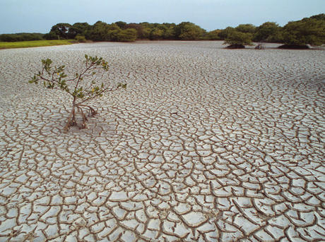 Missed Opportunity in Water Scarcity Discussions﻿