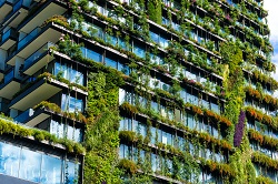 Europe Takes the Lead in Building Urban Resilience