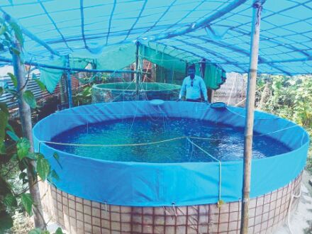 Fish farming: Push to use biofloc technology