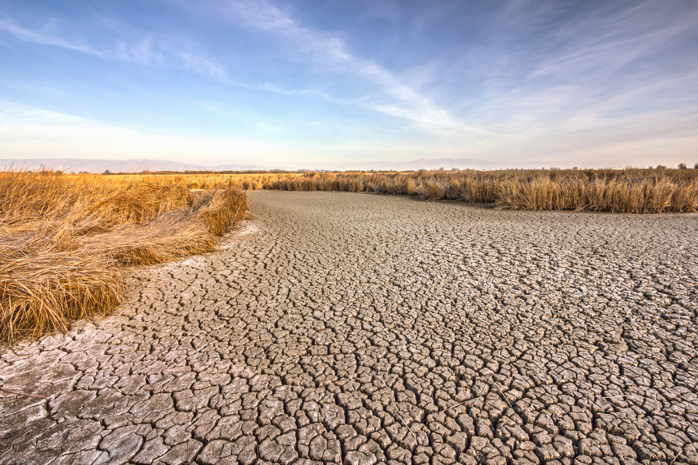 California Needs 11 Trillion Gallons of Water