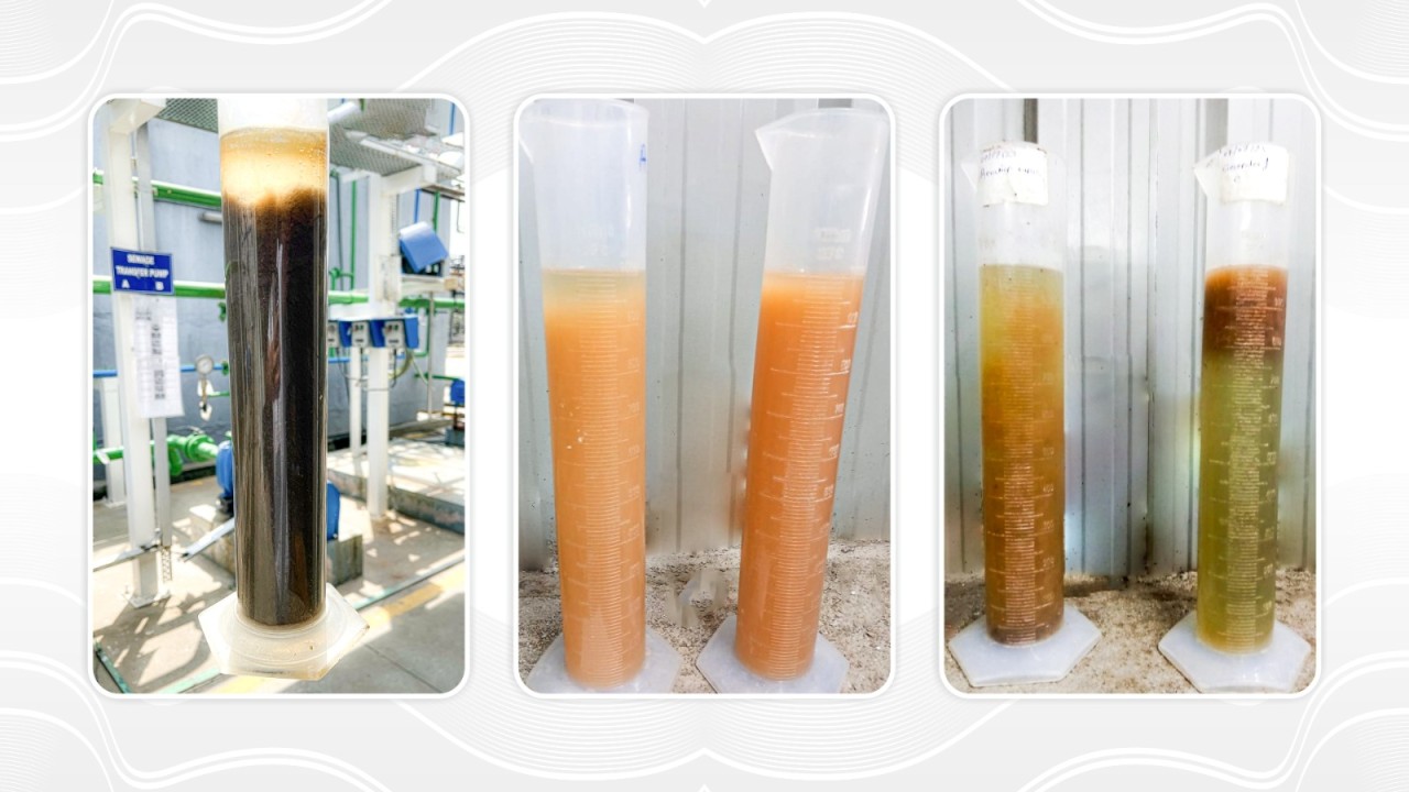 Understanding Filamentous Bacteria in Aerobic Tanks and Their Impact on MBR Systems