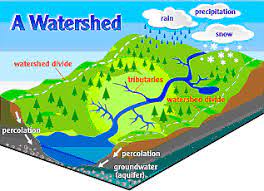 Looking for some basic information on watershed governance to water management.One of sections in my manual, I am writing about is on the waters...