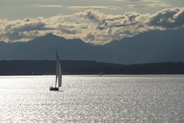 Support for Tidal Energy is High Among Washington Residents