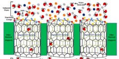 Carbon nanotube membranes for water purification promise bright future in water desalination