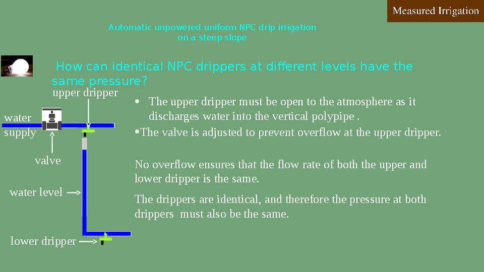 I have just invented a brilliant DIY low cost method for automatic drip irrigation on a steep slope. Every dripper will discharge the same amoun...