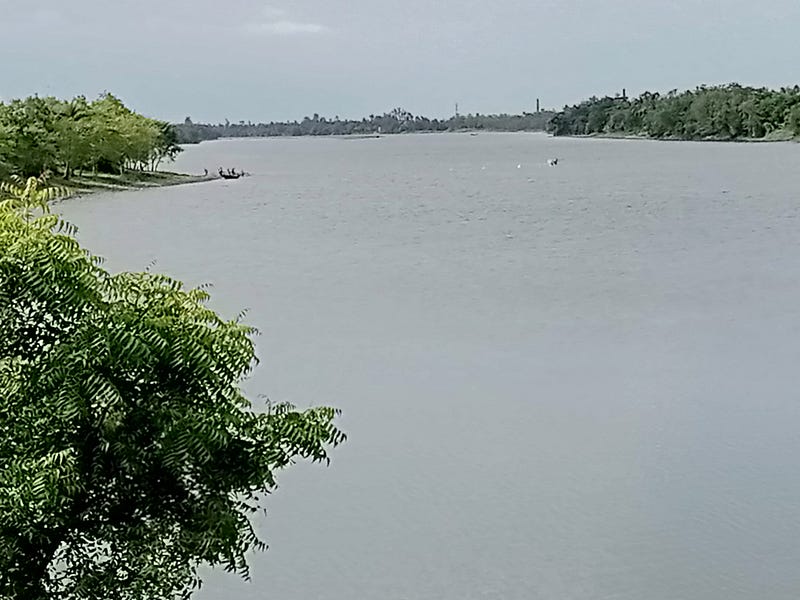 The Story of River Piyali : Kolkata's Kidneyhttps://hydrogeek.substack.com/p/the-story-of-river-piyali#traveling #riverinstress #riverside #rive...