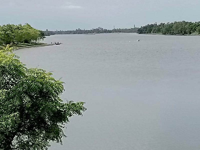 The Story of River Piyali : Kolkata&#039;s Kidneyhttps://hydrogeek.substack.com/p/the-story-of-river-piyali#traveling #riverinstress #riverside #rive...