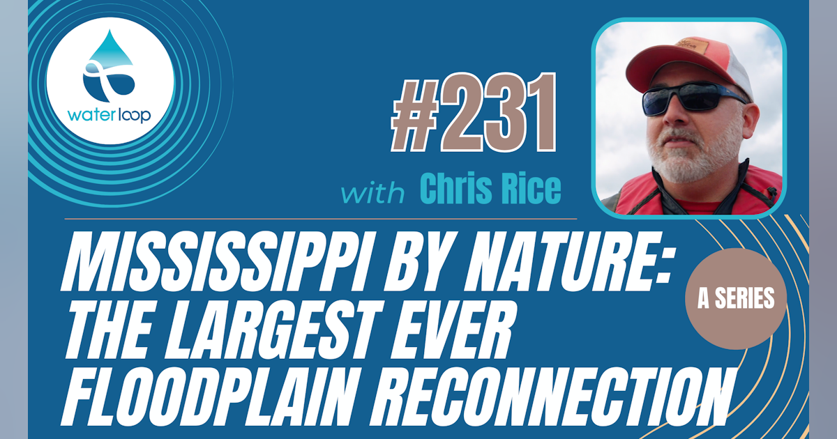#231: Mississippi By Nature: The Largest Ever Floodplain Reconnection