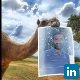 Dr Abdul Raziq Kakar, Al Ain Dairy - Technical Manager Operation, Camel Farm