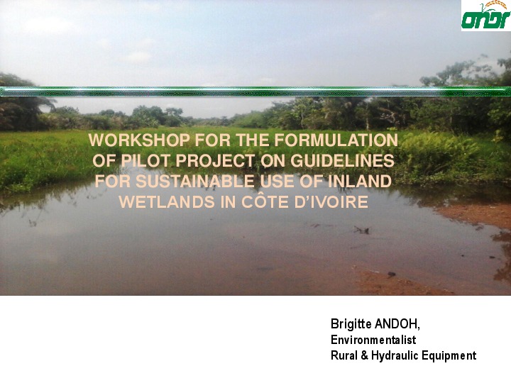 8_july_6_brigitte_andoh_sustainable_wetland_use_in_cote_divoire.pdf