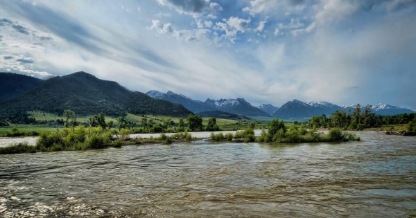 The Mighty Yellowstone: A Magnificent And Beleaguered River?Think back 25 years, though it seems like it was just yesterday. We had a new baby a...