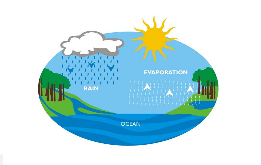 The Water Cycle Research