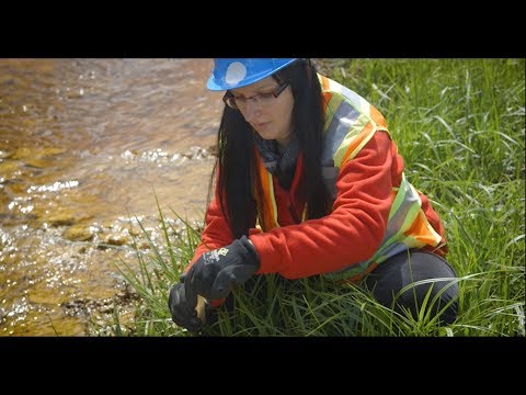 Using Microbes to Clean Mine Sites