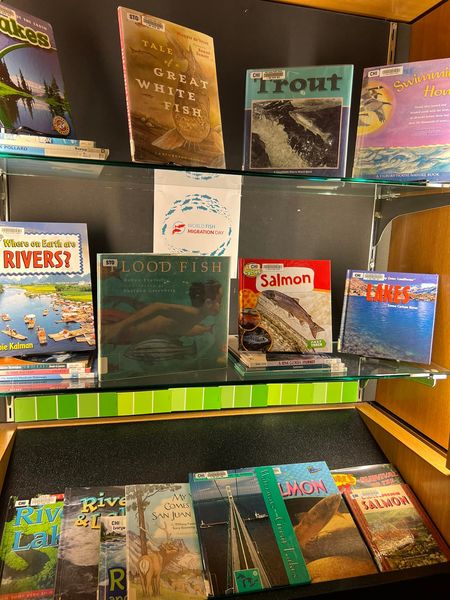 Mary Larson, the Captain of the Snorkel Michigan Underwater Photography Team asked the library of her hometown of Fort Wayne, Indiana, to do a d...
