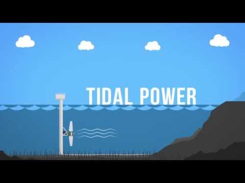 All you Need to Know about Tidal Power