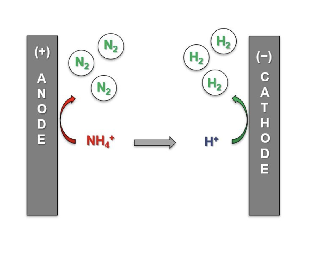 non-biological ammonia treatment processes