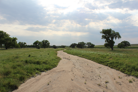 What Happens To Waterways With No Water?