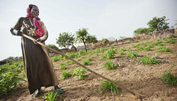 Farming Revolution to Increase Carbon Emissions